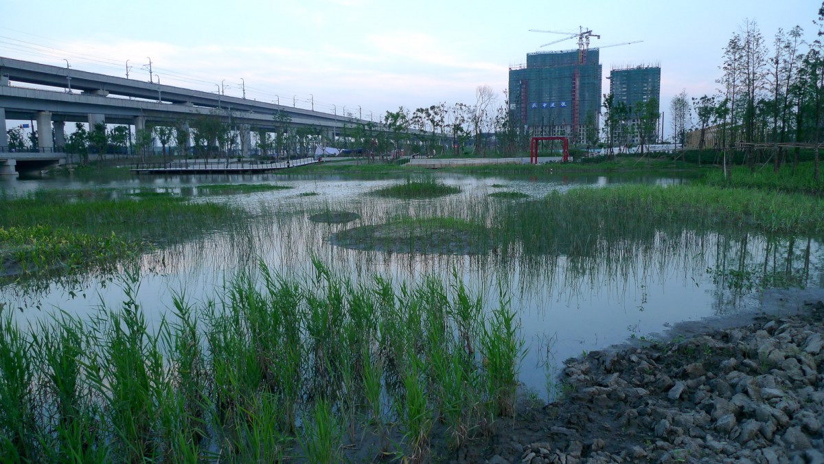 Jiading Wetland Park, Shanghai. In collaboration with DLC. 