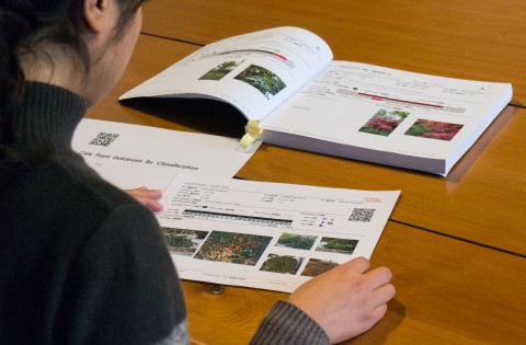 Full plant labelling system including tagging, monitoring and QC.