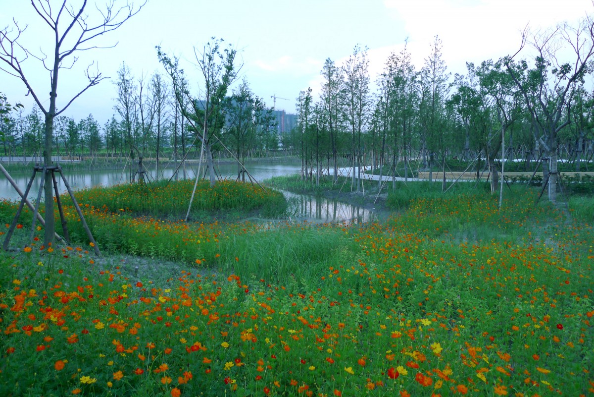 Extensive knowledge of wetland plants.