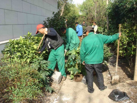 We help plan projects so they are delivered on time even during the rainy season or hot summer!