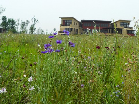 Soft and living elements take central stage in our landscapes.