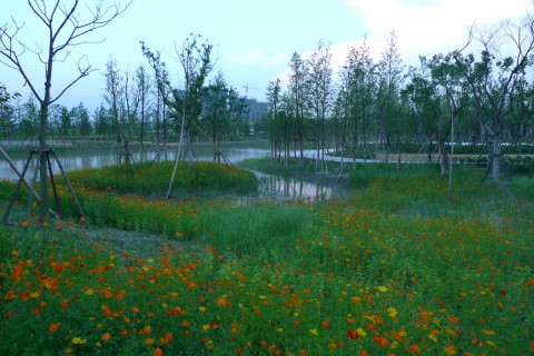 jiading wetland park
